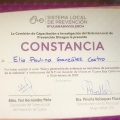 Ampliar imagen: certificate 7