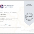 Ampliar imagen: certificate 7