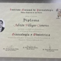 Ampliar imagen: certificate 1
