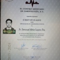 Ampliar imagen: certificate 2
