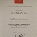 Ampliar imagen: certificate 5