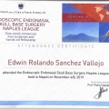 Ampliar imagen: certificate 2