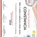 Ampliar imagen: certificate 10