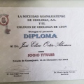 Ampliar imagen: certificate 26
