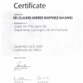 Ampliar imagen: certificate 3