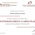 Ampliar imagen: certificate 33