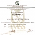 Ampliar imagen: certificate 22