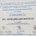 Ampliar imagen: certificate 27