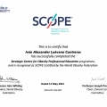 Ampliar imagen: certificate 2