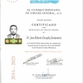 Ampliar imagen: certificate 11