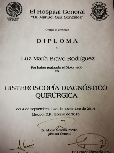 Luz Maria Bravo Rodriguez-5