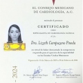 Ampliar imagen: certificate 6