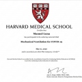 Ampliar imagen: certificate 5