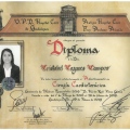 Ampliar imagen: certificate 5