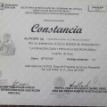 Ampliar imagen: certificate 13