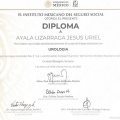 Ampliar imagen: certificate 2