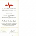 Ampliar imagen: certificate 2