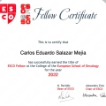 Ampliar imagen: certificate 3