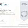 Ampliar imagen: certificate 5