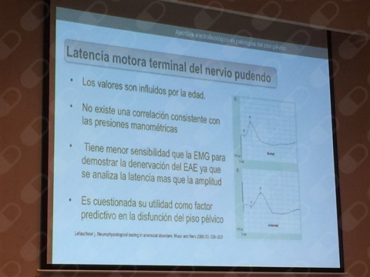 Ana Patricia Cárdenas Vizcarra-6