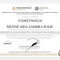 Ampliar imagen: certificate 7