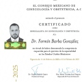 Ampliar imagen: certificate 1