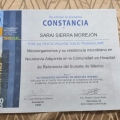 Ampliar imagen: certificate 11