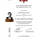 Ampliar imagen: certificate 1
