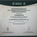 Ampliar imagen: certificate 7