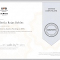 Ampliar imagen: certificate 3