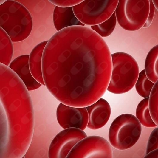 Noé Benjamín Vega Tapia-5