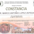 Ampliar imagen: certificate 124