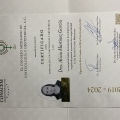 Ampliar imagen: certificate 2