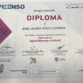 Ampliar imagen: certificate 7