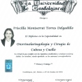 Ampliar imagen: certificate 5