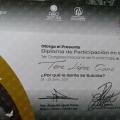 Ampliar imagen: certificate 10