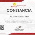 Ampliar imagen: certificate 11