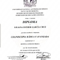 Ampliar imagen: certificate 6