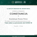 Ampliar imagen: certificate 3