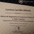 Ampliar imagen: certificate 5