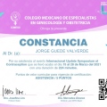 Ampliar imagen: certificate 3