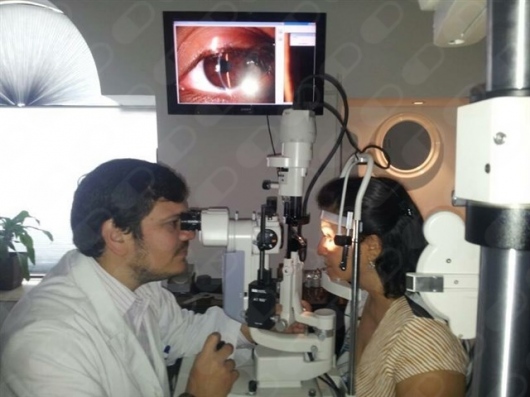 Manuel Lliteras Cardín-7