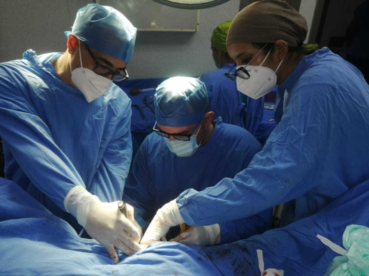 Felix Alfaro Arias-38