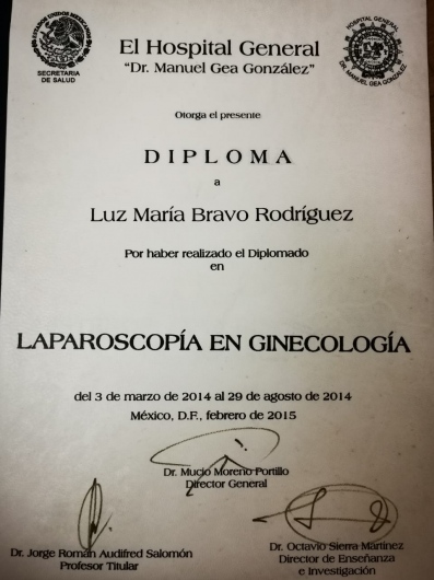 Luz Maria Bravo Rodriguez-4