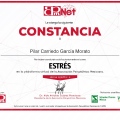 Ampliar imagen: certificate 33