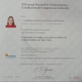 Ampliar imagen: certificate 22