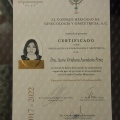 Ampliar imagen: certificate 7