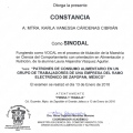 Ampliar imagen: certificate 19