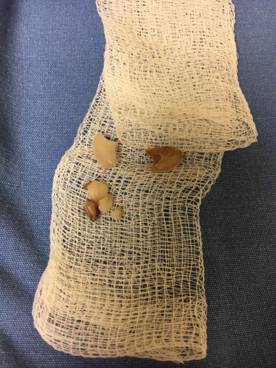 Carlos Alejandro De Alba De Lira-4