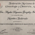 Ampliar imagen: certificate 8